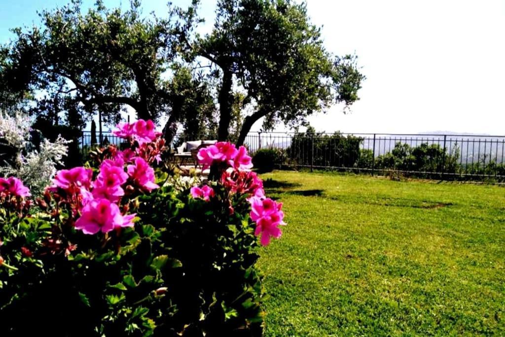 インペリア Casa Vista Mare - Superb Garden And Parking Includedヴィラ エクステリア 写真